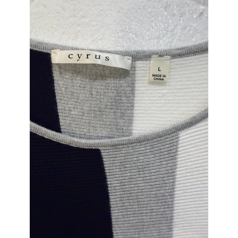 Cyrus Womens Navy Blue Grey White Striped Ribbed Knit Sweater Size Large - Picture 3 of 5